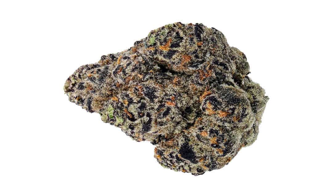 black velvet strain review