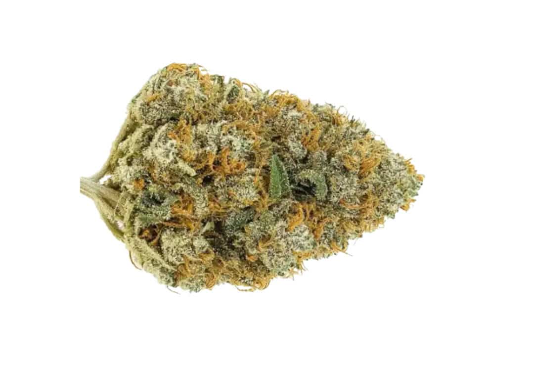 grapefruit hemp cbd