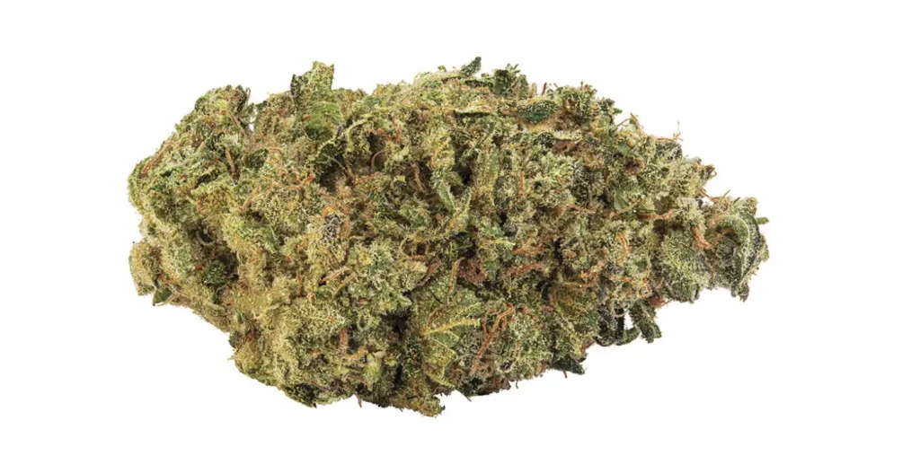 first class funk strain review
