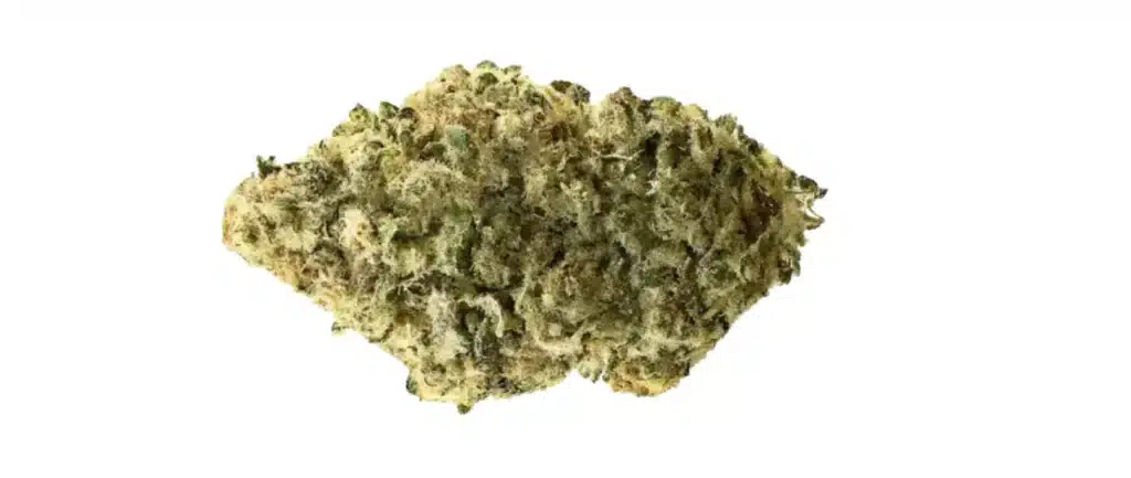 og 18 strain review