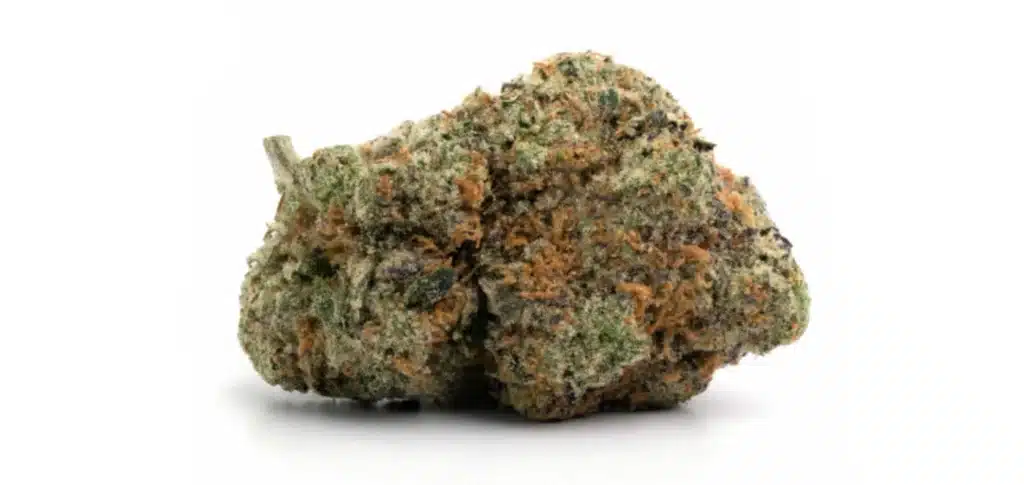 red dragon strain review