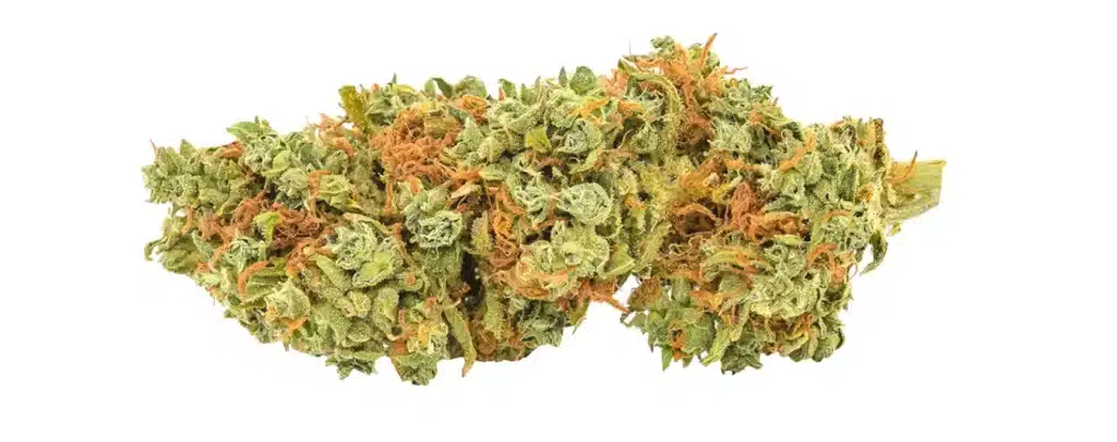red headed stranger strain review