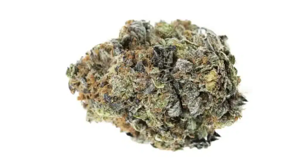 rocket fuel cannabis strain